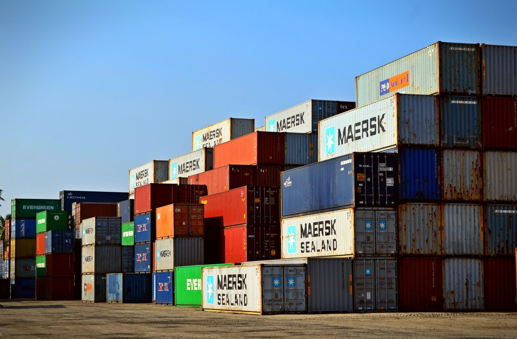 Export cartons staged for wholesale dispatch